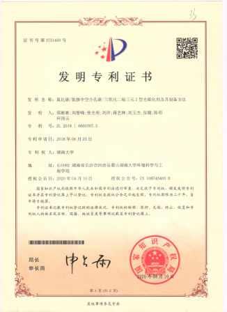 专利1